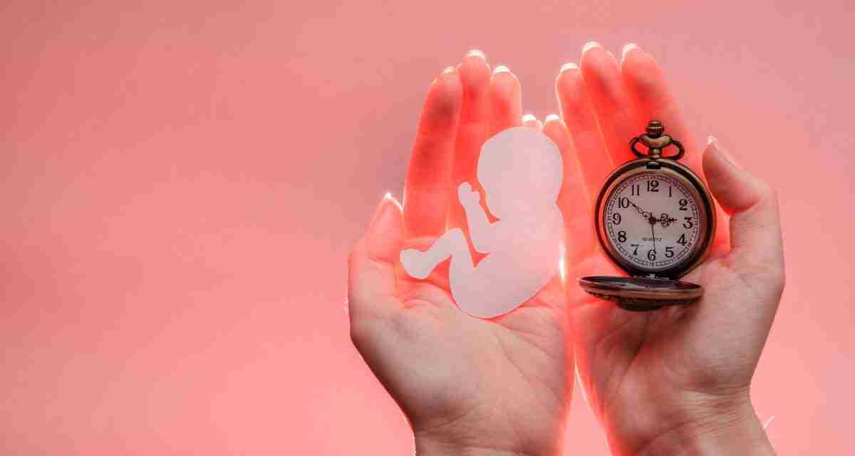 The fertility window: are we lying to women about their biological clocks?