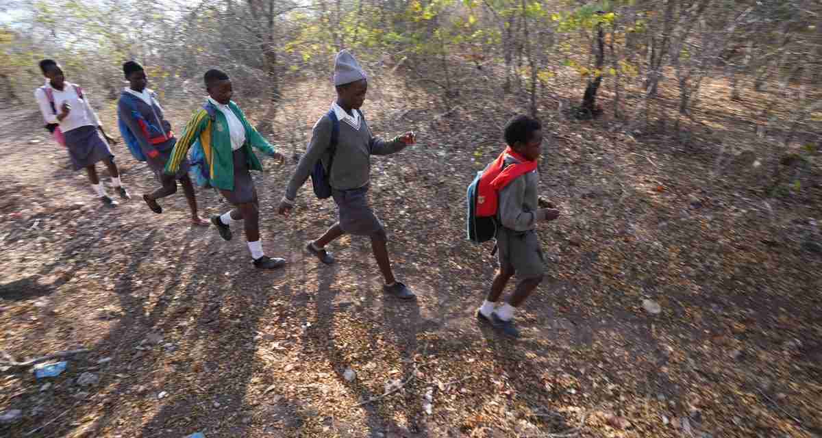 Zimbabwe schoolchildren face threats from animals as they walk to school