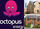 Thousands of new homes will pay £0 energy bills with Octopus Energy – here’s how it works